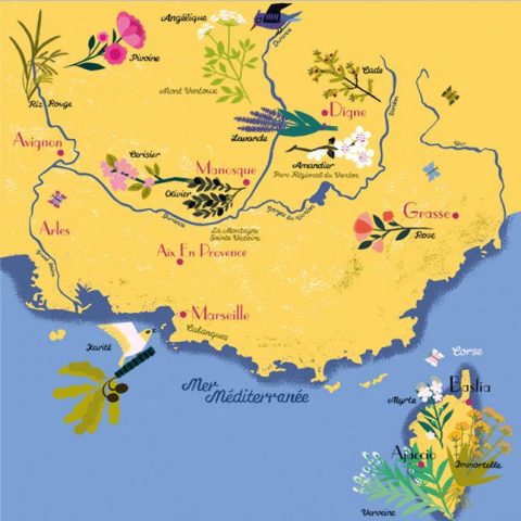 Provence map - The French Traveler